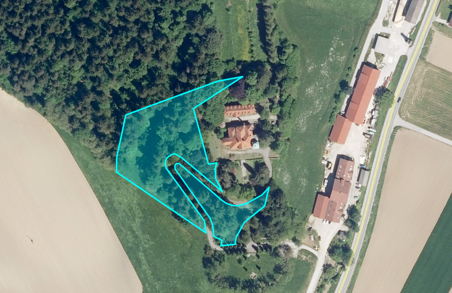 Sanitarna sečnja poškodovanih dreves v vetrolomu