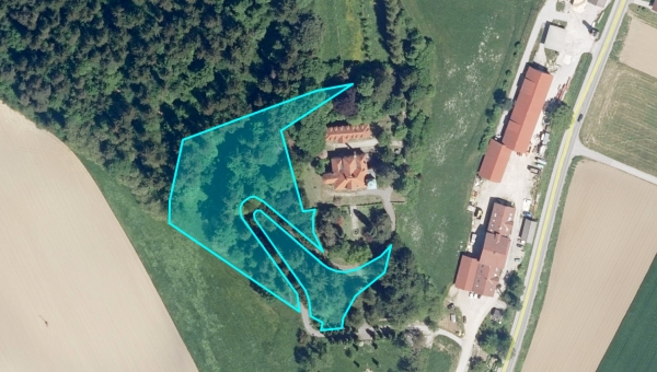Sanitarna sečnja poškodovanih dreves v vetrolomu
